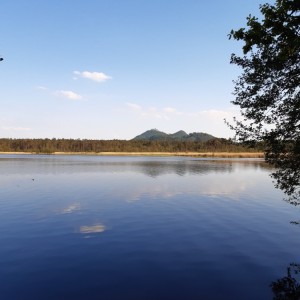 Chatky Máchovo jezero